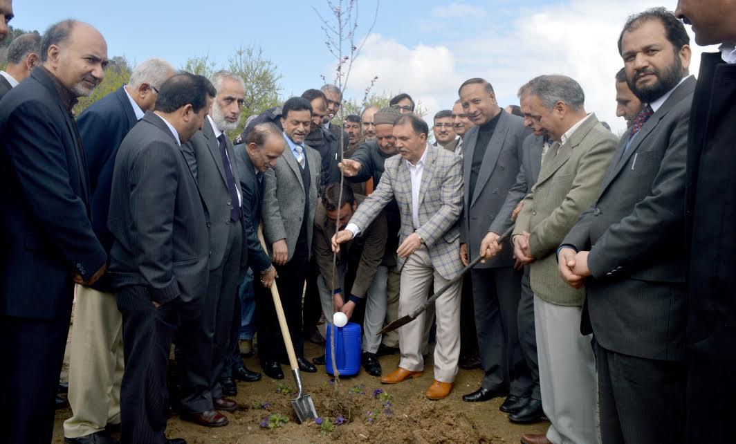 JK Bank conducts plantation drive